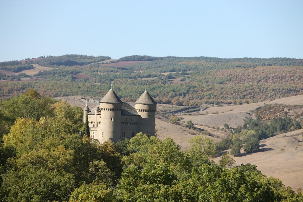 Chateau De Lugagnac Riviere-sur-Tarn Bagian luar foto