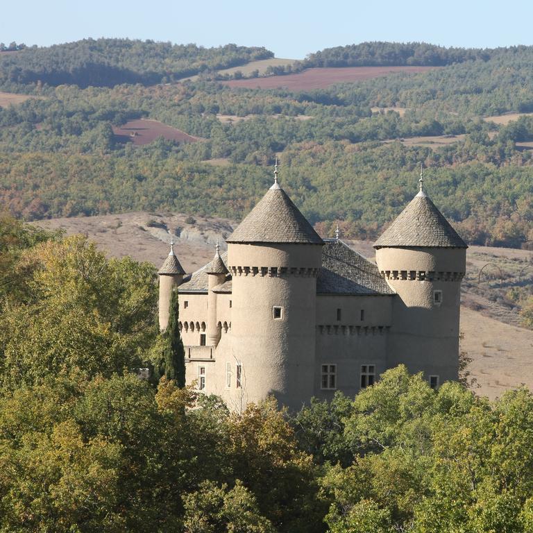 Chateau De Lugagnac Riviere-sur-Tarn Bagian luar foto